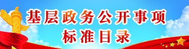 基層政務公開事項標準目錄